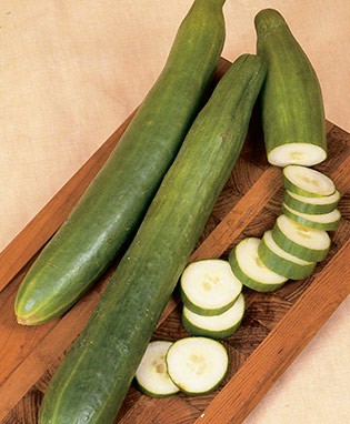 Japanese Cucumber